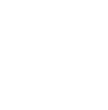 American Cancer Society