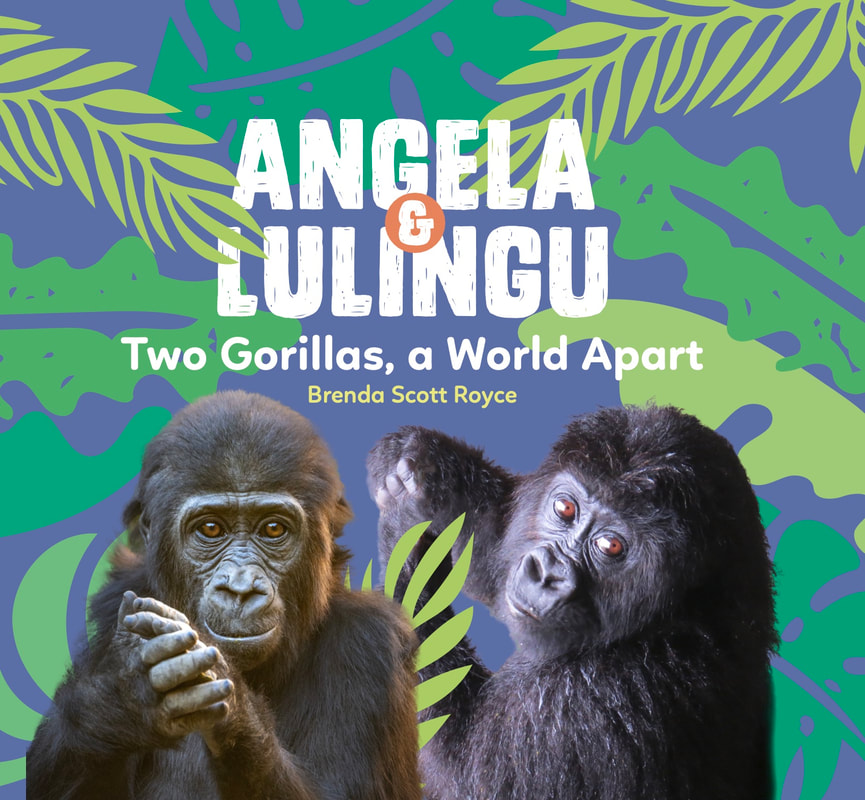 Angela & Lulingu: Two Gorillas, a World Apart