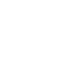 The Henry Ford